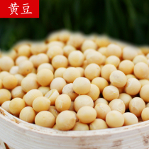Kunnuo soybeans 500g Northwest farmhouse self-produced shelled original soy milk companion grains