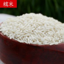 Kunno new rice glutinous rice 500g Northwest round glutinous rice bulk fresh pure white glutinous rice rice fermented wine