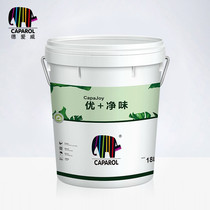 Deaiwei caparol excellent+net flavor wall paint