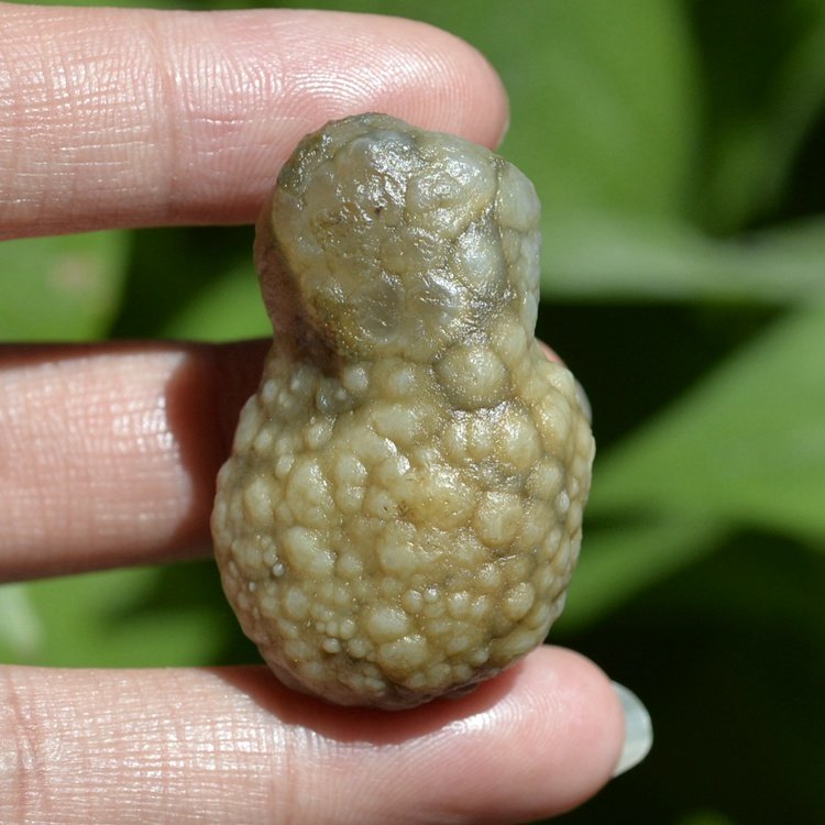 L=41mm1#Xinjiang Gobi Agate rough pendant Meridians Meridians fish eggs Agate mineral specimens
