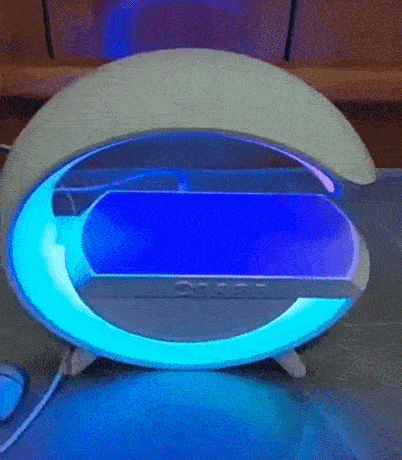 DM_20231115163429_023.gif