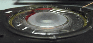 pic_019.gif