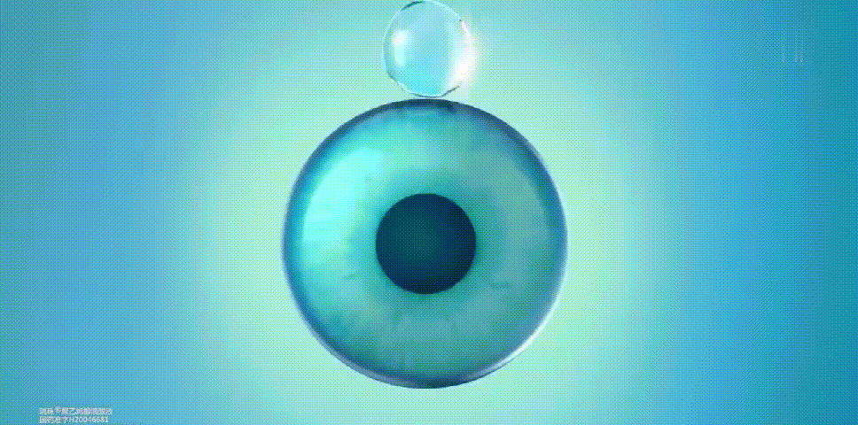 20230428_161834_018.gif