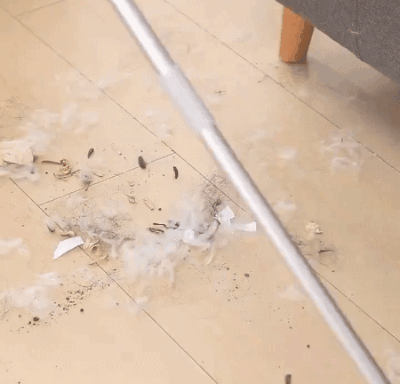 20.gif