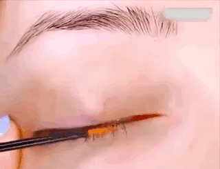 13.gif
