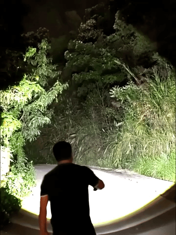 5.gif