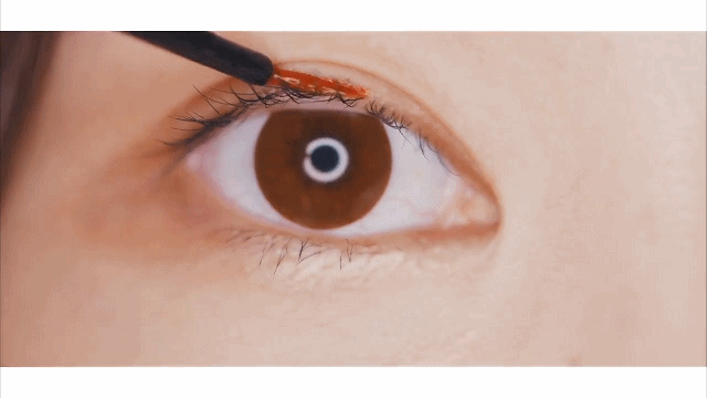 09.gif