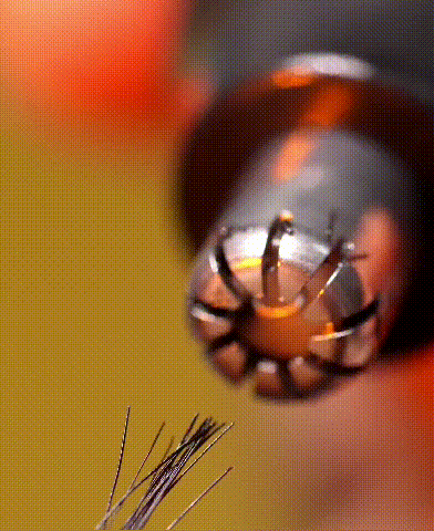DM_20230625103650_013.gif