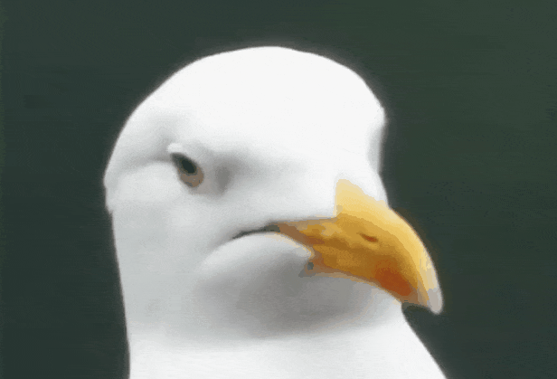 20230602_155153_011.gif