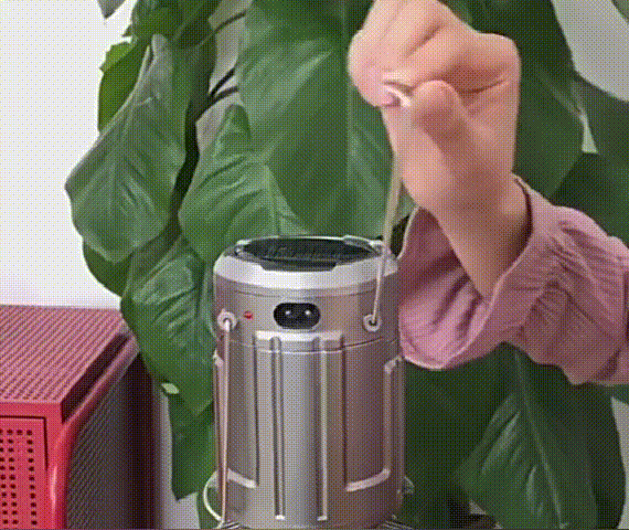 20220330_165648_014.gif