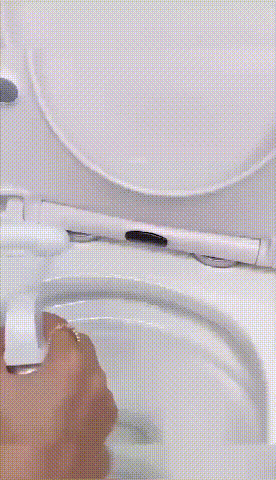 25.gif