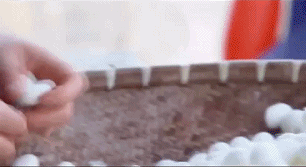 11.gif