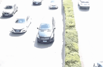 DM_20230817151848_008.gif