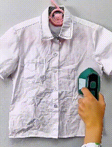 13.gif