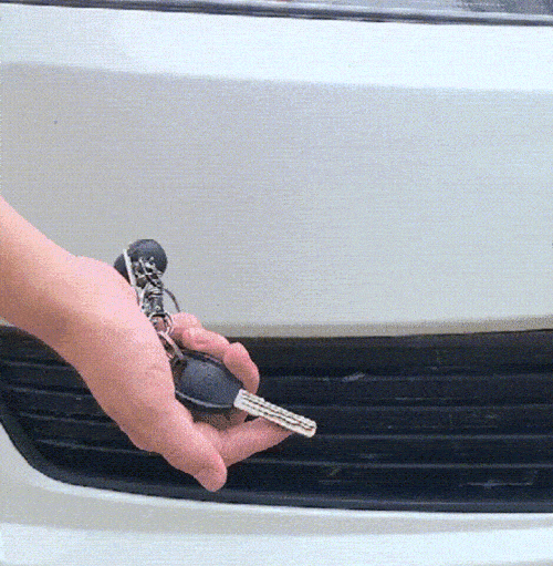 8.gif