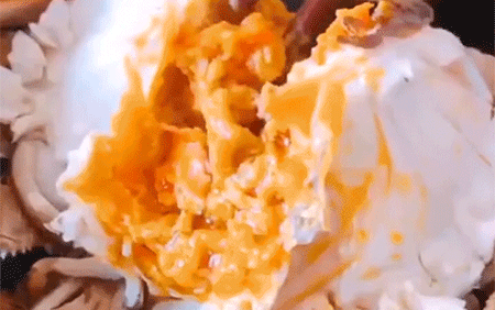 20220419_145615_017.gif