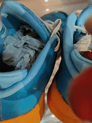 20230804_160516_023(1).gif