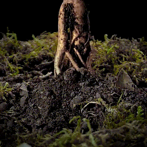 20230802_094807_009.gif