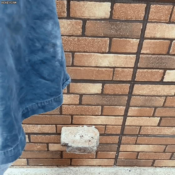 20231215_174119_010.gif