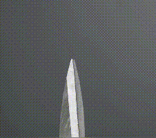 021 (1).gif