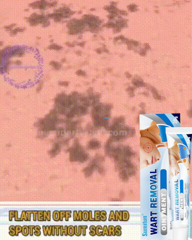 23.gif