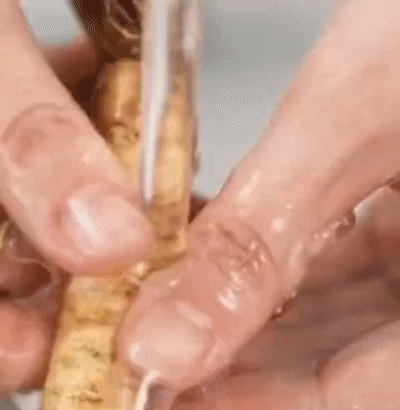14.gif