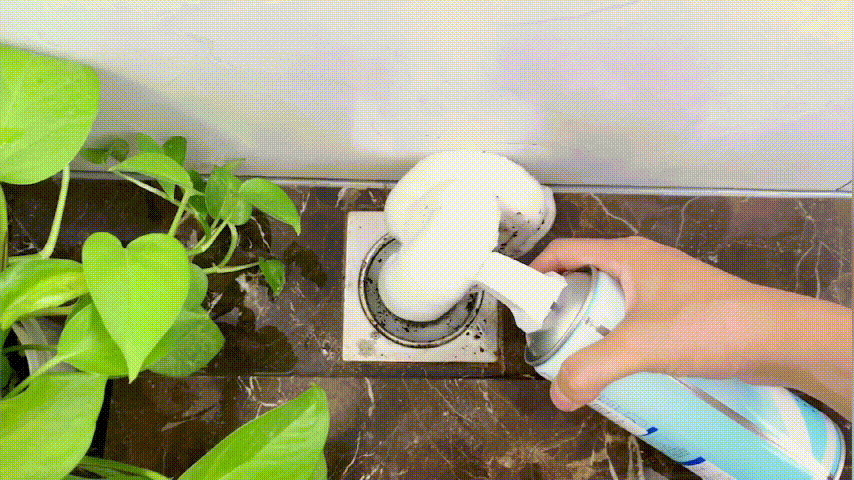 20221211_125619_011.gif
