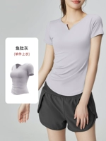 Рыба живота серый