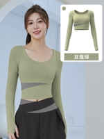 【Встроенная грудная площадка】 Cardamom Green