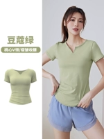 [Одиночный верхний верх] Cardamom Green