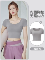 Морской каменный ясень