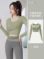 (Длинная вершина) Cardamom Green [Фиксированная грудная площадка]