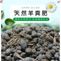  Goat Fertilizer Fermented Organic Fertilizer Goat Shit Fertilizer Sheep Manure Manure Nursery multi-meat plant Natural pure planting material