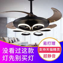 Smart voice light extravagant ceiling fan lamp Restaurant Living room Bedroom With Led Electric Fan Chandelier INVISIBLE HOME AMERICAN NORDIC MODERN MINIMALIST WEB RED MUTED CREATIVE PROFILED SKY CAT GENRE LIGHT