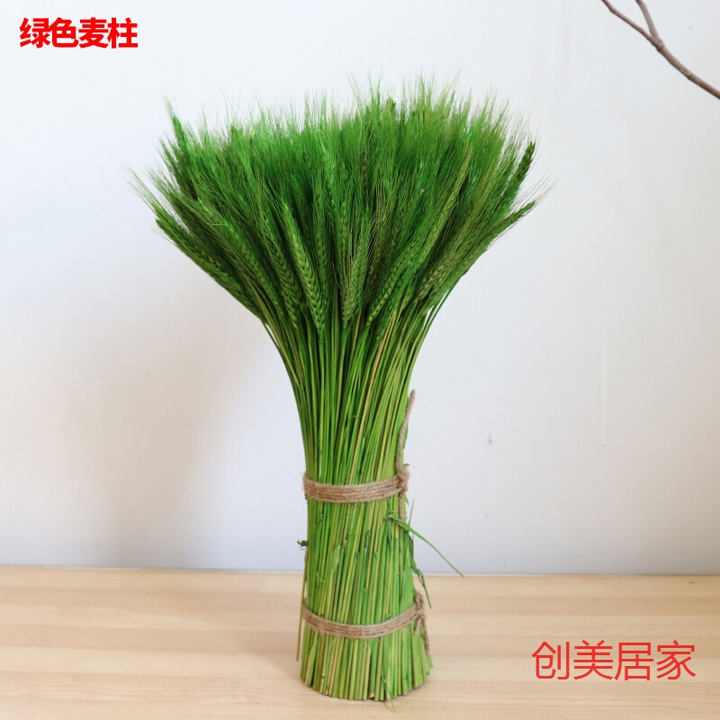 Natural ear of wheat dried flower bouquet opening barley pastoral style decorative gift shooting props Ear of rice dried flower true flower green