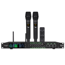 Glen Ralston Grenston Home Front Stage Effectors With Microphone Two-in-one Elimination Original Singing Reverberator