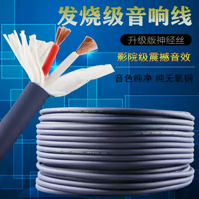 Professional Audio Plug Power amplifier cable surround speaker wire Horn Cable universal old double-headed pure copper High Fidelity