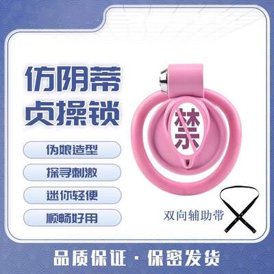 cb lock, fake female abstinence and chastity lock, male dragon chastity lock, anti-shedding penis lock, long-term outdoor wearing birdcage