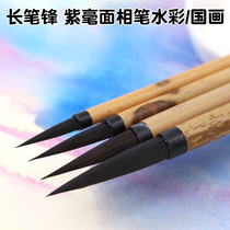 Golden mud purple hair face pen Watercolor pen Chinese painting pen Purple hair Changfeng Watercolor hook pen Watercolor pen Brush pen