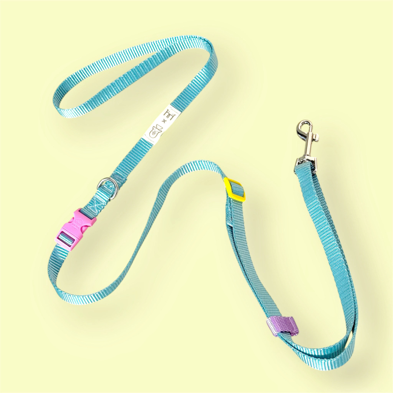 【Traction】Thailand Human&Hound Handmade Leash Humanhound Small Hound Dog in Stock 【Traction】Thailand Human&Hound Handmade Leash Humanhound Small Hound Dog in Stock