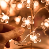 Sakura Led Light Lantern Lantern Light Strings, полные звезд Новый год