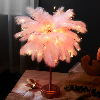 Internet Celebrity Lights ins Feather Decorative Lights Creative Room Lights Bedroom Night Light Decoration Girly Birthday Gift