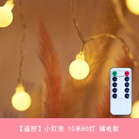 [Пульт дистанционного управления] Маленькая лампочка+10M 80 Light+Plugck -In Model