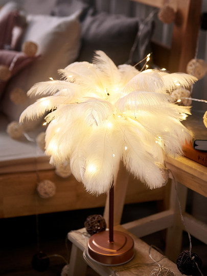 Internet celebrity ins feather decorative lamp creative room lantern bedroom night light layout girl heart birthday gift