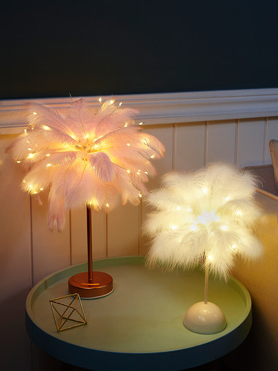 Internet celebrity ins feather decorative lamp creative room lantern bedroom night light layout girl heart birthday gift