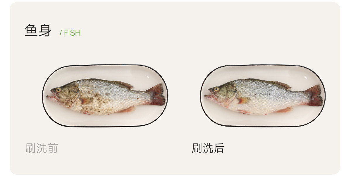 FaSoLa 磁吸海鮮刷 1把 雙頭刷 甲殼類 龍蝦鮑魚刷 瓦斯爐刷