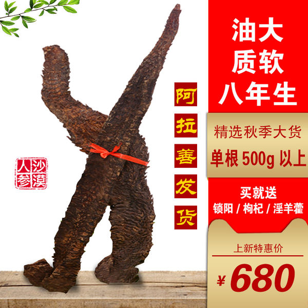 蒙蓉源 油大质软 8年生 新疆阿拉善野生巨型肉苁蓉 500g以上整根 天猫优惠券折后¥628包邮(¥658-30) 蒙蓉源 油大质软 8年生 新疆阿拉善野生巨型肉苁蓉 500g以上整根 天猫优惠券折后¥628包邮(¥658-30)