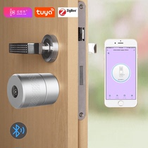 Tuya Smart lock Office lock Mobile phone tuyaAPP unlock t Remote sharing key password lock Fingerprint gateway