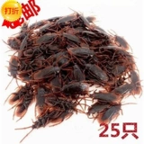 Ужас 老 Мыши Скорпион Страшная бит программное обеспечение поддельные игрушки -пауки игрушки поддельные тараканы