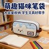 Pencil Case with High Aesthetic Value, Ins-Style, Large Capacity, Multifunctional Stationery Box for Middle School and High School Students, Pencil Storage Bag